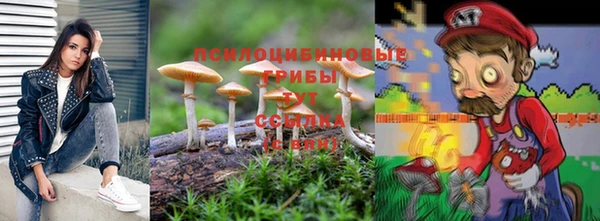 ешки Волосово